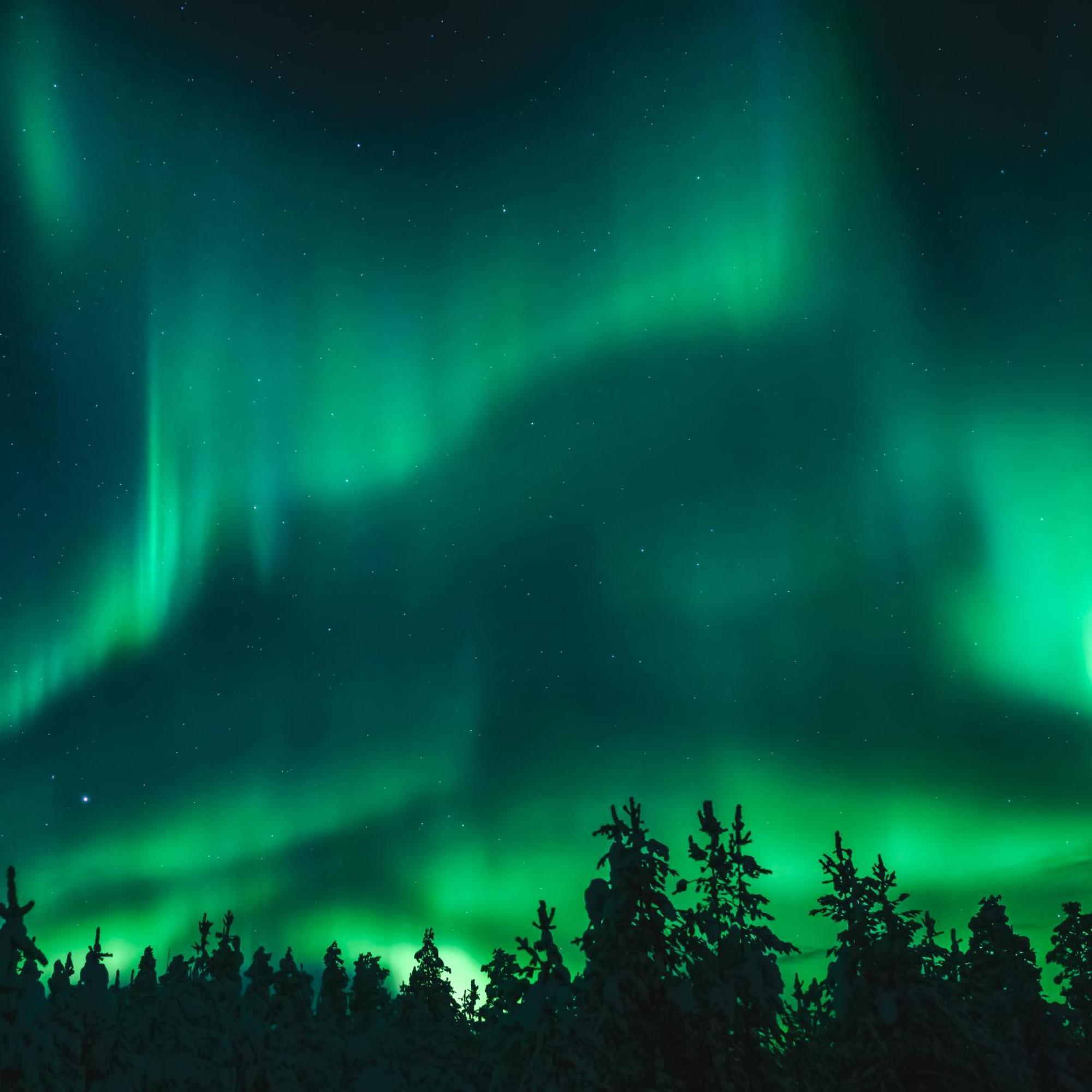 Skog Aurora Igloos Villa Kalix Eksteriør billede
