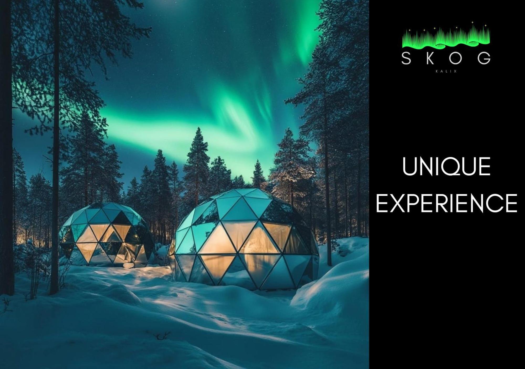Skog Aurora Igloos Villa Kalix Eksteriør billede