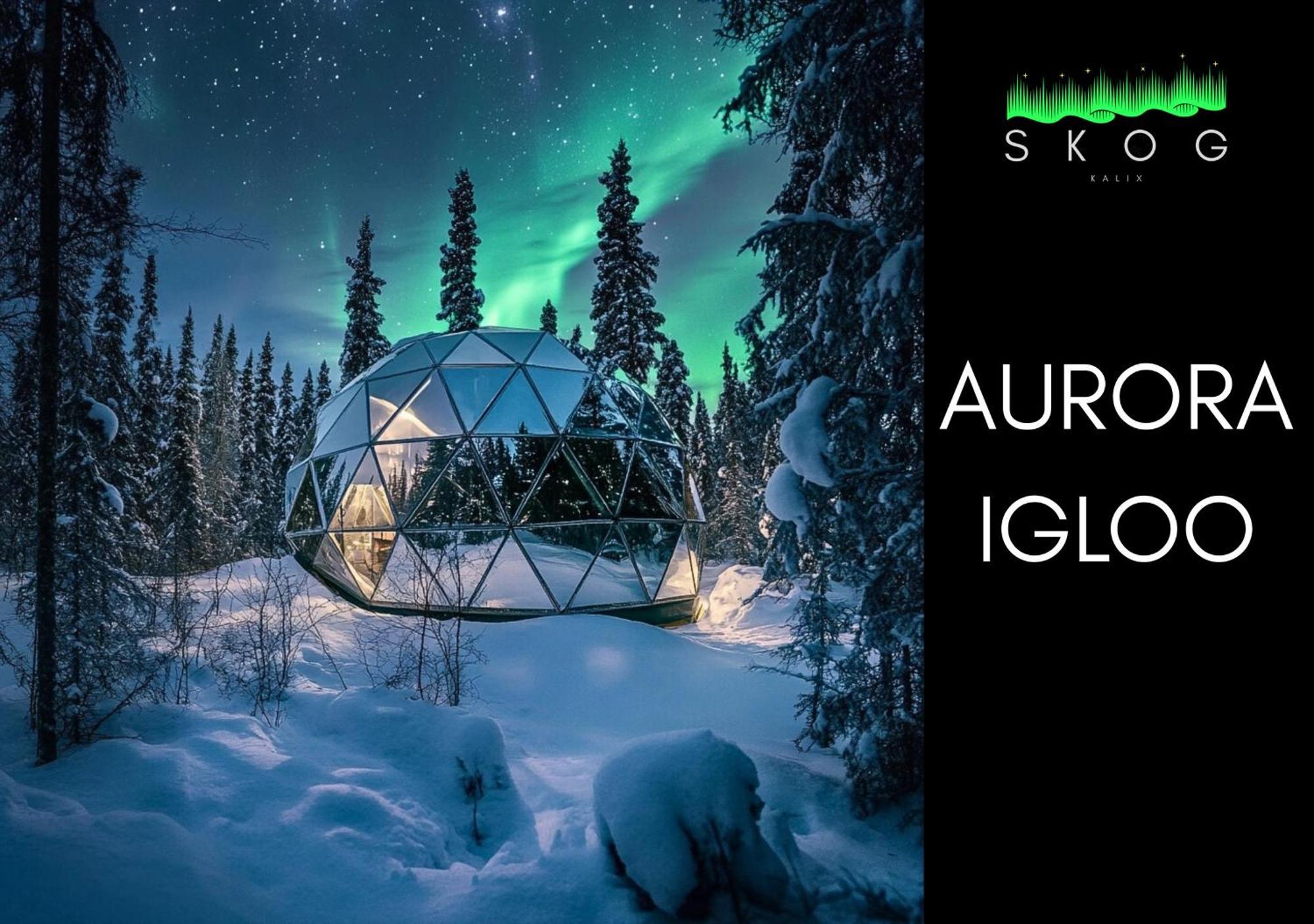 Skog Aurora Igloos Villa Kalix Eksteriør billede