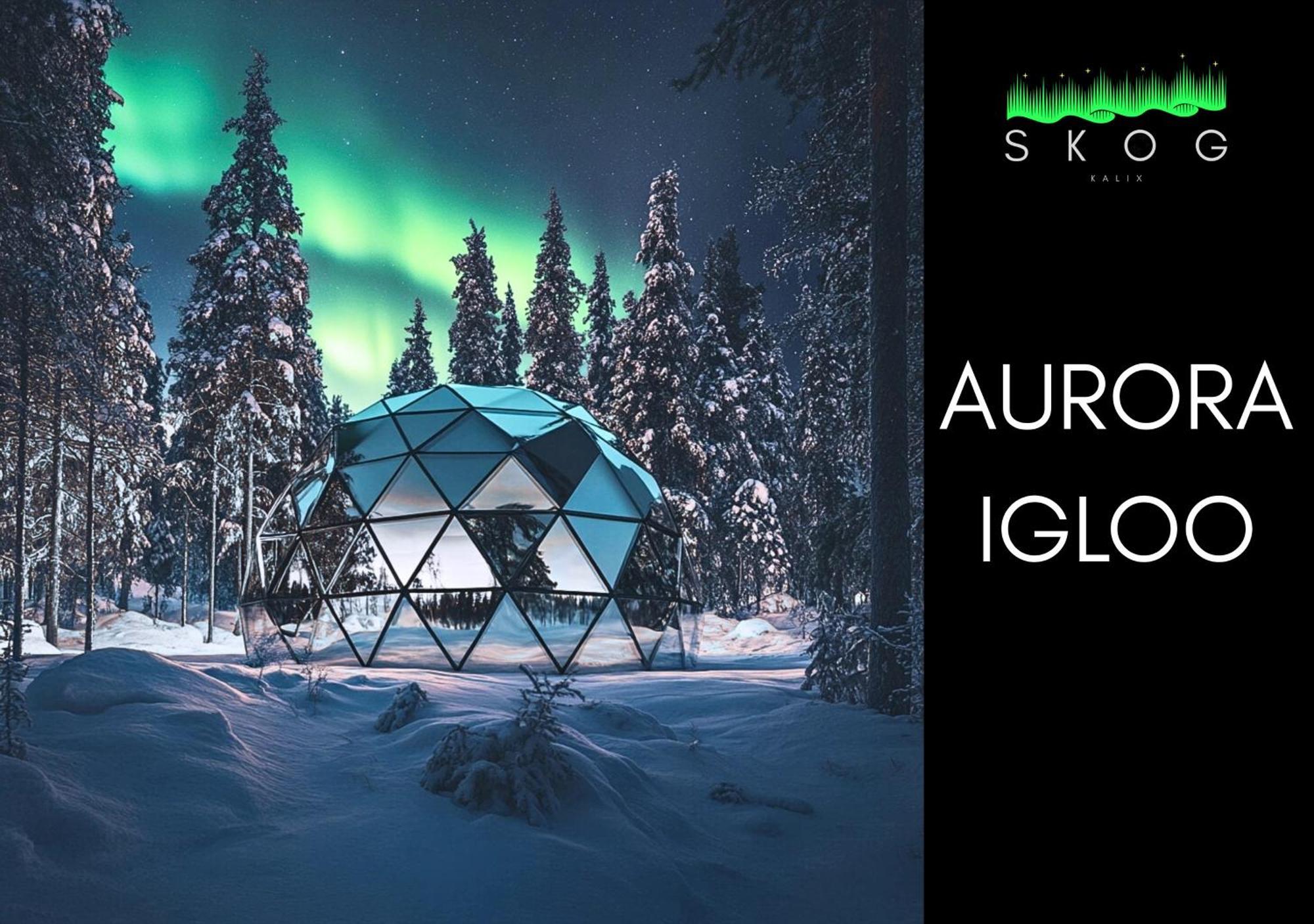 Skog Aurora Igloos Villa Kalix Eksteriør billede