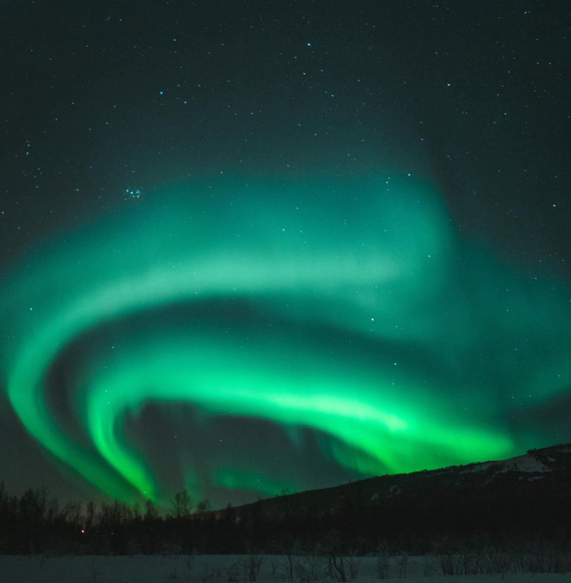 Skog Aurora Igloos Villa Kalix Eksteriør billede