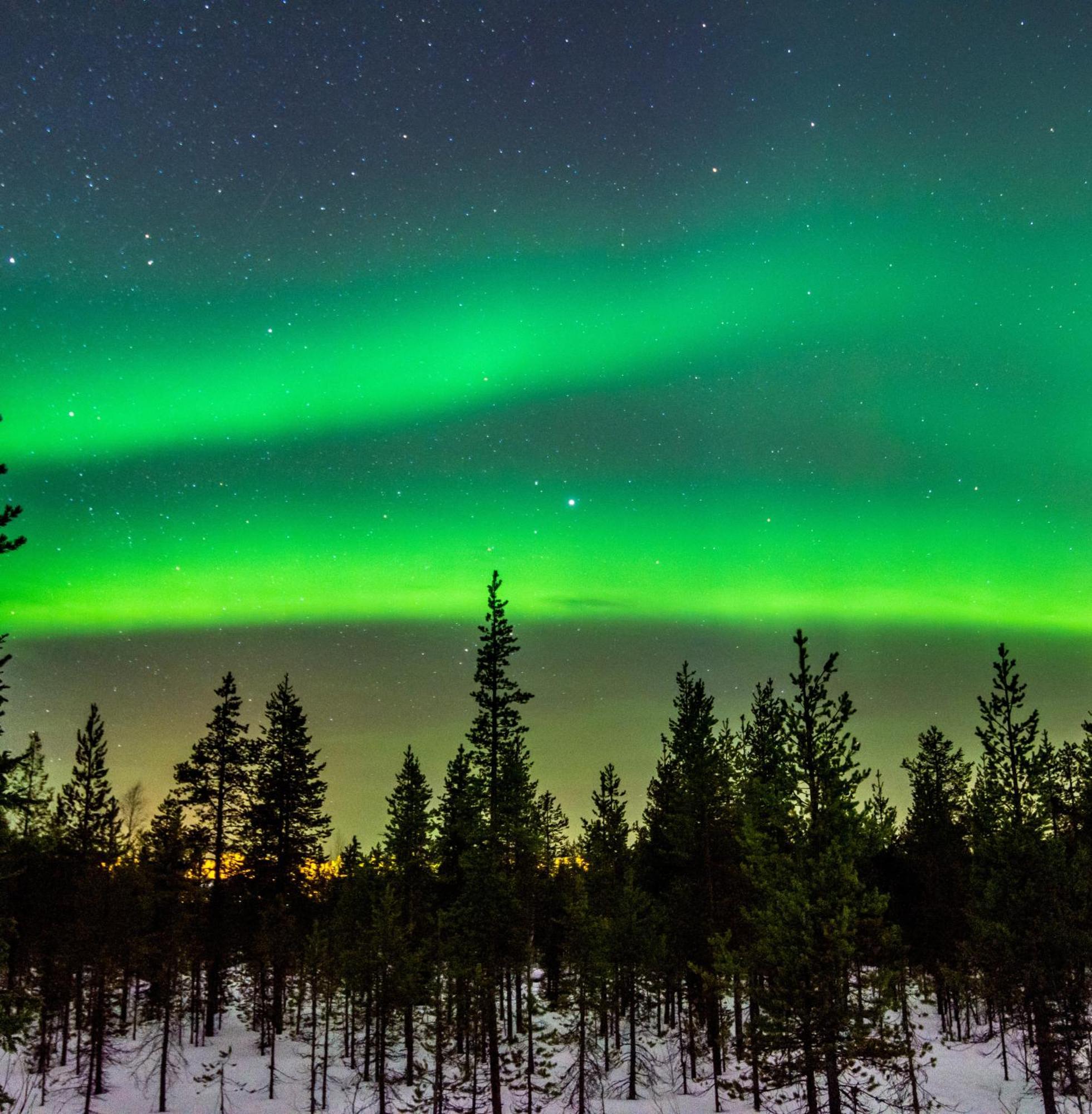 Skog Aurora Igloos Villa Kalix Eksteriør billede