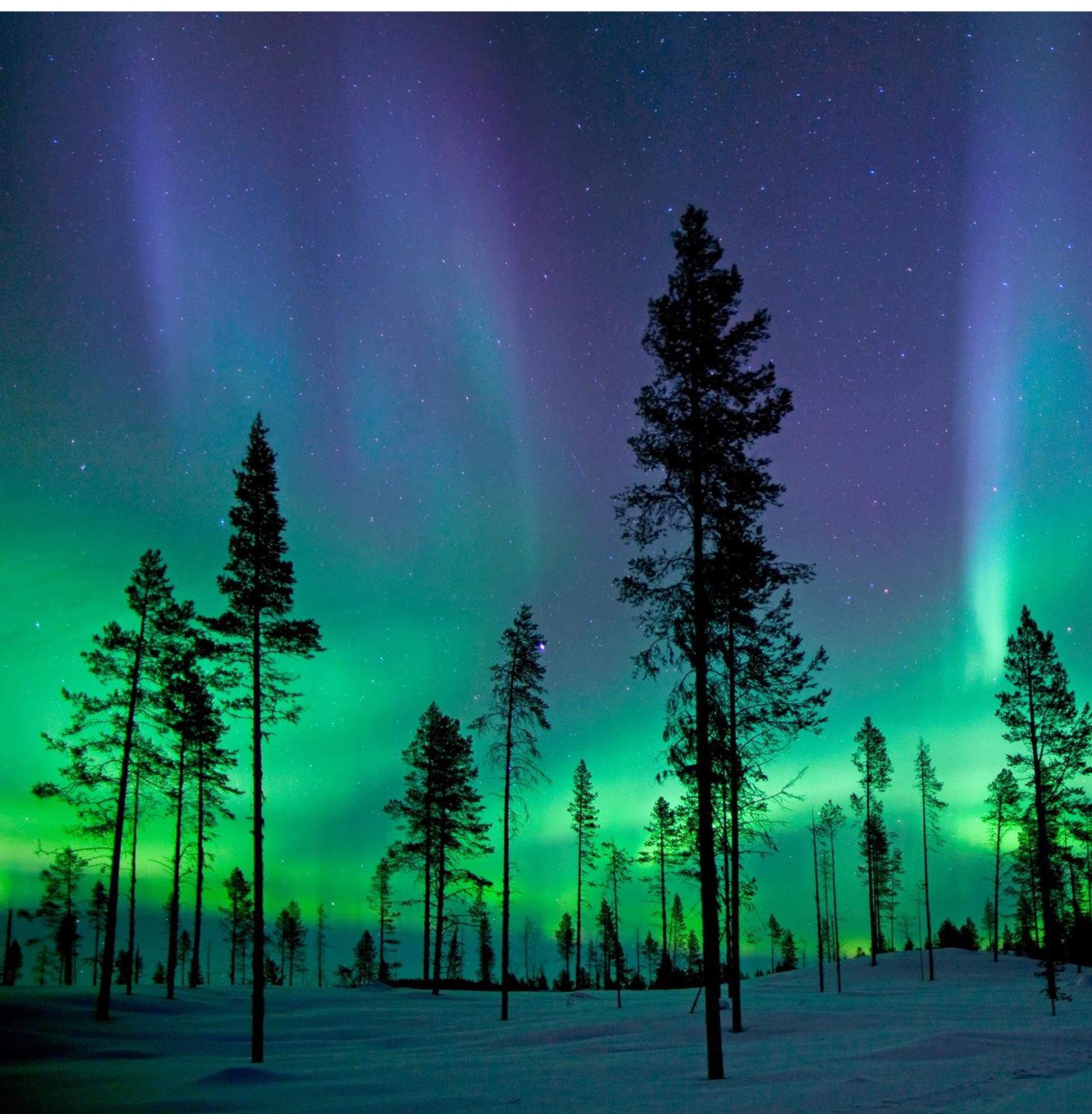 Skog Aurora Igloos Villa Kalix Eksteriør billede