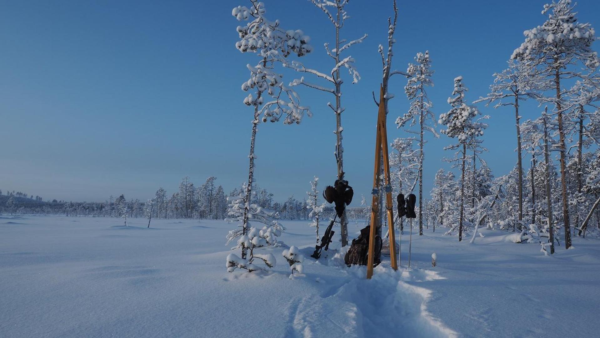 Skog Aurora Igloos Villa Kalix Eksteriør billede